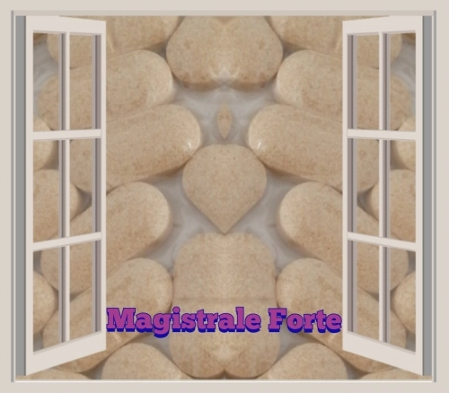 Magistrale Forte